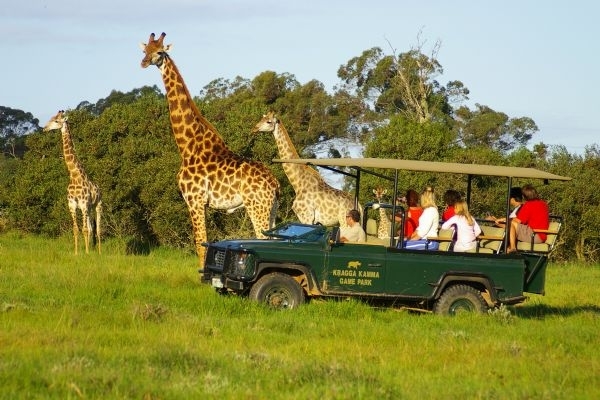 Kragga Kamma Game Park